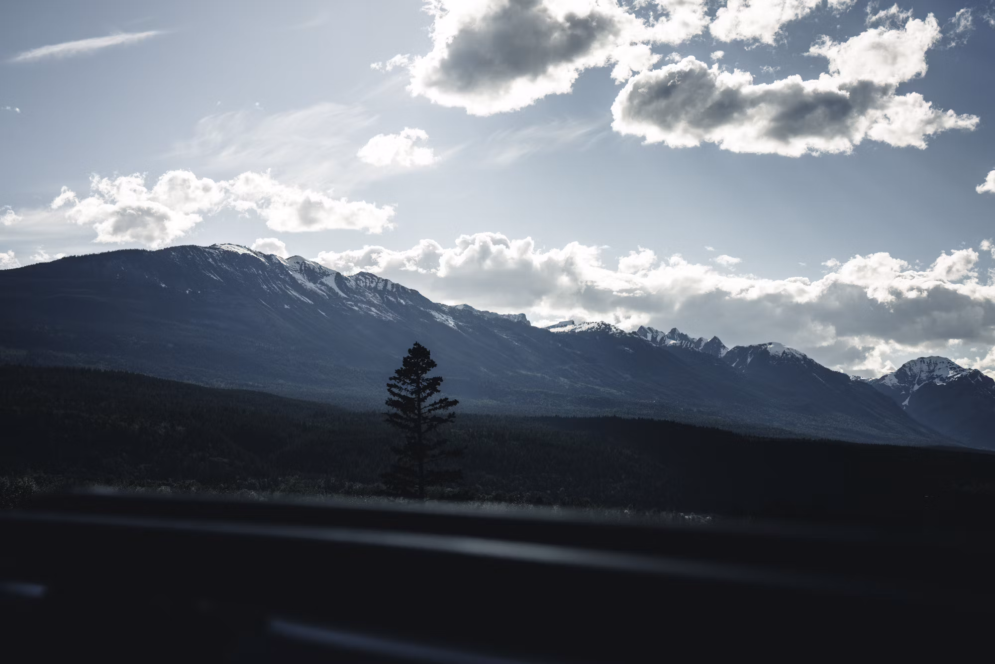 Exploring the World of Sustainable Fashion: A Journey Towards Ethical Choices