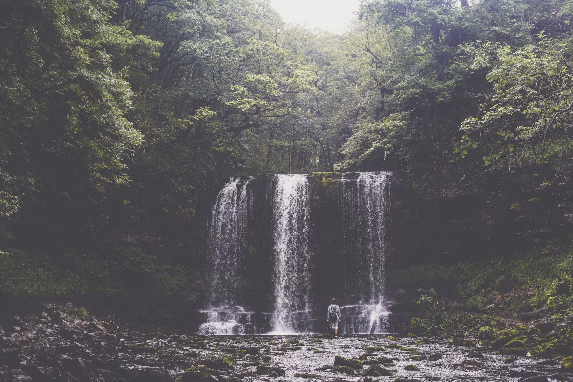 Backpacking Basics: Your Guide to Multi-Day Adventures